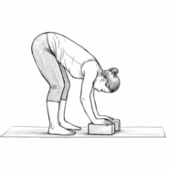 Uttanasana mit gebeugten Knien und Händen auf Blöcken